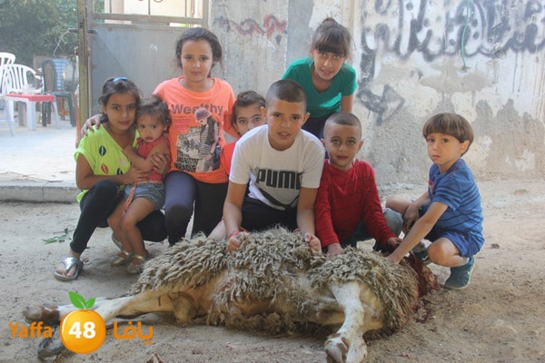 dabe7 ludj31 (80).JPG